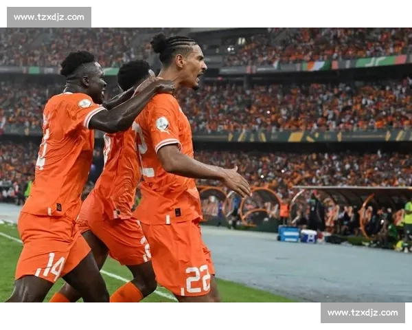 战术大师博弈,非洲杯教练团的智慧对决